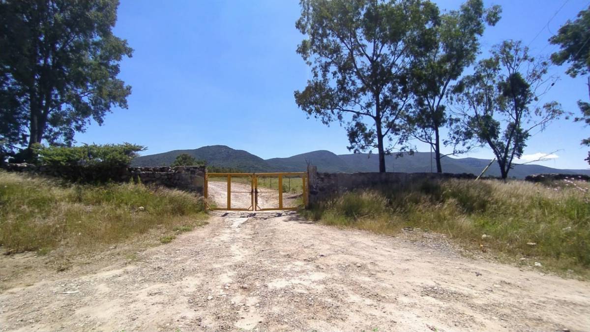 TERRENO CAMPESTRE, VENTA. CARR. GUANAJUATO A DOLORES HIDALGO