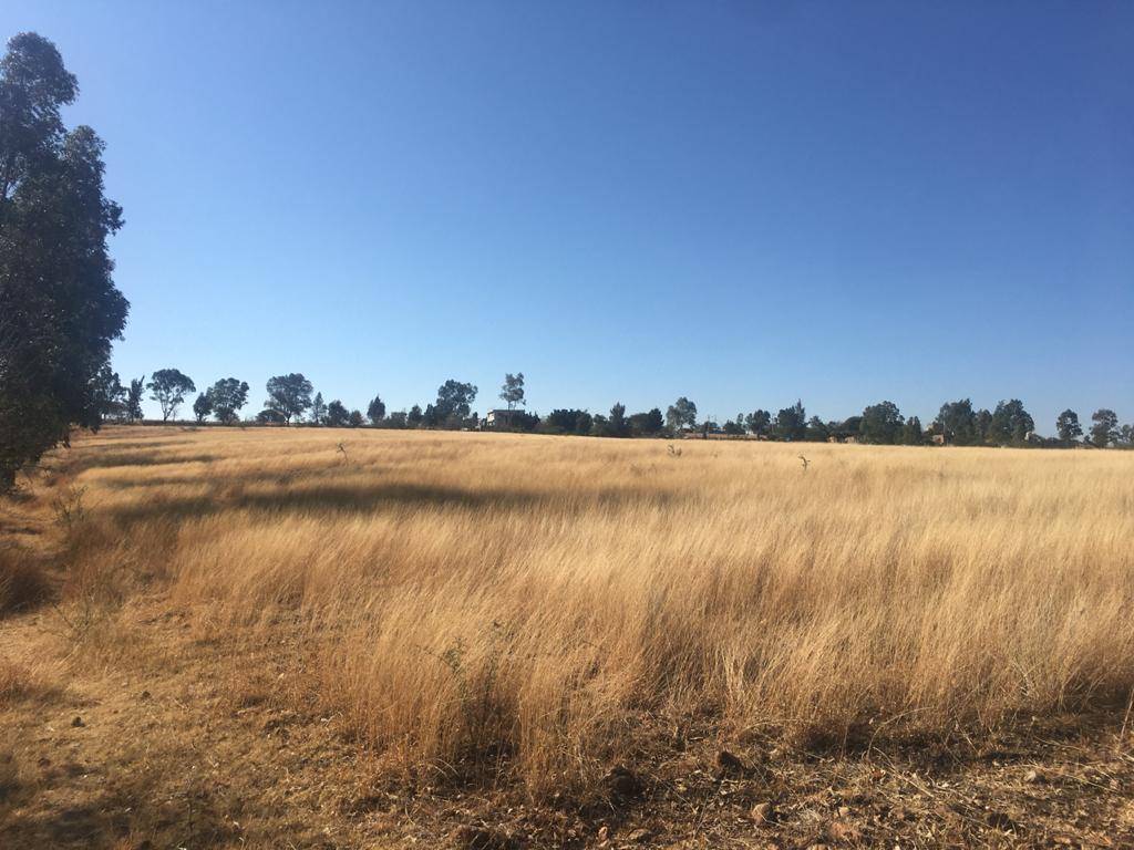 TERRENO CAMPESTRE EN VENTA, CARR. A SAN MIGUEL DE ALLENDE GTO.